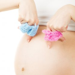 Методы определения пола ребенка на ранних сроках беременности